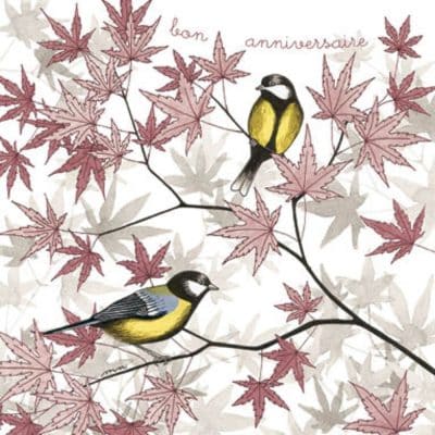 Carte postale éditions Titi-Pinson. Bon anniversaire, mésanges dans érable japonais.