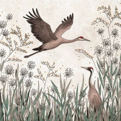 Carte postale éditions Titi-Pinson. Hérons.